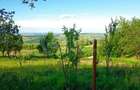 Teren intravilan 1340mp ideal pentru casa in Sat Gheorghieni! - 4