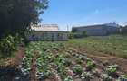 TEREN ~5.000 m2 + CASA DE VANZARE Barlad - 3