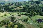 Teren de 10000 mp, în Răchițele - 5