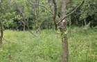 Vand teren intravilan - 5