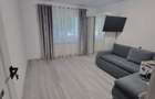 PF Inchiriez apartament cu 1 camera in Lunca Cetatuii - 7