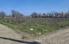 Vand Teren Intravilan! - 3