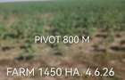 Agricuture farm 1450 ha - 1