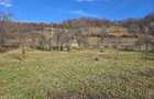 Vand casa Com Pietroasa-Bihor, sosea , central ter 2500 mp, dublu front, utilit.,gaz