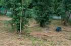 Proprietar, vand teren in suprafa?a de 1502 mp, situat in Cralova? - 2