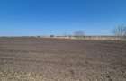 GRADISTEA - Sat Sitaru, teren agricol 11.961mp, ideal investitie - 5
