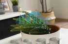 Apartament 2 Camere Dorobanti|?tefan cel Mare|Metrou - 5