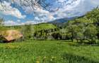 Teren intravilan 3400 mp, in Balaban - Simon, Bran - Brasov - 5