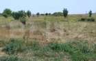 Parcele intravilan, 500 mp, str Constantei, langa Eurocartie - Craiova (Dolj) - 6