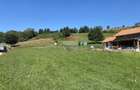 Teren 1,308mp Vama Buzaului / Strada Principala
