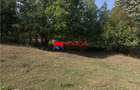 TEREN INTRAVILAN DE VANZARE IN POIANA CAMPINA | 3.526 M - 9