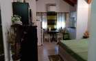 studio Complex Elisbetinin, Judetean 350 EUR/luna - 1
