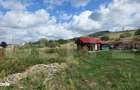 Teren intravilan, 697 mp, zona Ernei - 6