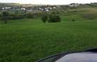 Vand teren intravilan colonia Borhanci