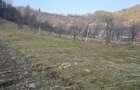 Teren intravilan 4323 mp - 1