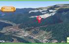 Teren forestier compact, 39,42 ha, Cheia Maneciu, ECX30374 - 5
