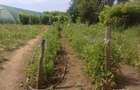 Vand teren 5128 m statiunea Lacu sarat braila - 2