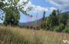Teren 1000 mp cu view superb in Busteni - Busteni (Prahova) - 4