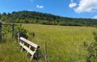 Teren de 5800 mp, în Vultureni - 2