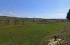 Teren de 2425 mp, în Barcani - 2