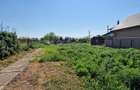 Teren Premium 2923 mp(utilitati pe lot), Lazu, Agigea( Constanta) - 4