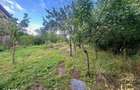 Casa cu anexe si teren de 959 mp de vanzare in Tinca - Bihor - 19