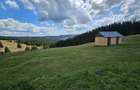 Teren de vanzare 15 hectare in Bucovina Moldova Sulita zona Lucina - 4