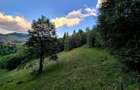 Teren investitie 8635 mp extravilan , Pestera Brasov - 9