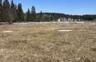 Teren Intravilan de 1804 mp , CF, zona Copcea , Marisel - 2
