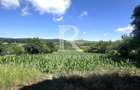 Casa de vanzare cu teren generos | Sumugiu | Bihor - 8
