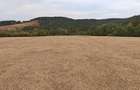 Vand teren extravilan 3,54 hectare