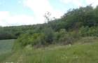 Teren extravilan com.Dragesti, jud.Bihor - 1