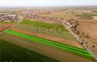 RECO teren 5000mp cu deschidere la DN19 Tamaseu - 4