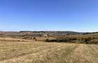 Vand teren la 7 km de Cluj, comuna Baci, Sat Corusu - 2