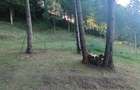 Teren intravilan la munte - 7