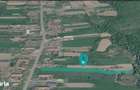 Teren 3,024 mp in localitatea Dorgos - 2