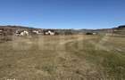 Teren intravilan in localitatea Hereclean in suprafata de 5800 mp - 3
