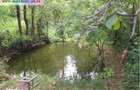 Teren de vanzare - Baicoi(Central),toate utilitatile