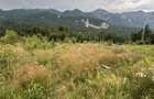 Teren intravilan, 1000 mp, proiect duplex P+E, zona Sinaia - Zamora - 3