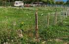 Teren 500mp vand urgent - 3