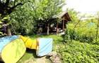CASA 5 CAMERE 145 MP TEREN 660 MP DAMBUL ROTUND - 25