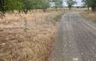 5000 mp langa Padure