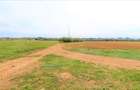 OCAZIE ! EFORIE NORD 3 LOTURI 517 MP. 19.500 EURO IDEAL INVESTITIE ! - 5