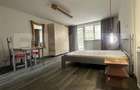 Garsoniera de inchiriat, 45 mp, Pet Friendly - USAMV, Manastur - 2