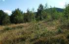 Teren Apuseni- Arieseni intravilan - 5