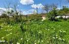 Teren intravilan, 509 mp, deschidere 30 m, com. Vernesti