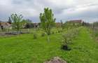 Casa cu mansarda in Ernei, situata intr-o zona linistita - 9