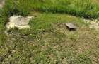 Teren 8.800mp Mioveni / acces drum public / utilitati aproape / investitie - 8