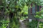 Proprietate de Vanzare In Sat Dalga, Comuna Calopar - 2900mp| Doua Case batranesti + Plantatie de lavanda anul 6 - 1