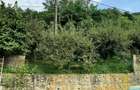 Gospodarie | 315mp | 12 500mp | Ramnicu Valcea - Copacelu | Proprietar - 5